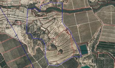 AG19138257 | AG19138257