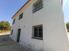 R5365786