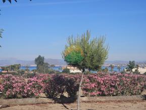 Plot of land