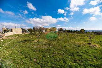 4 Bedroom Finca For sale - Leiva