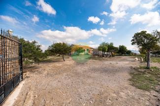 4 Bedroom Finca For sale - Leiva