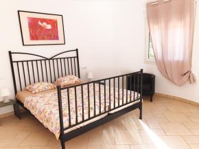 CBMES-51538