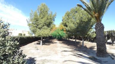 5 Bedroom Country house For Sale