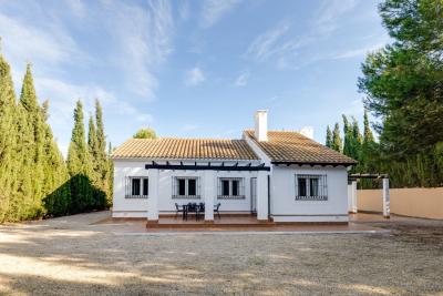 40917 | 40917