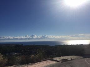 WIN-509