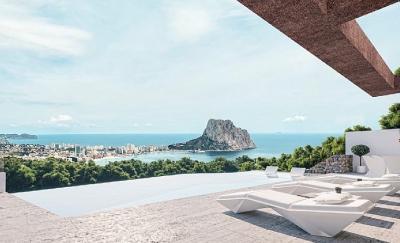 HH-79288 | HH-79288