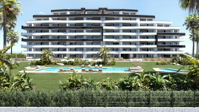 SNS-2037 | SNS-2037