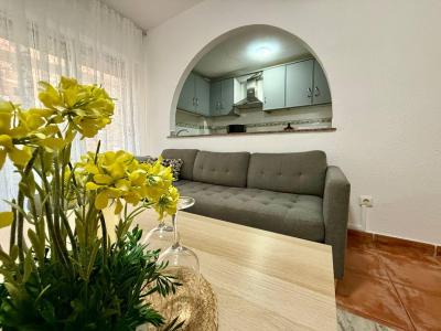 ALEG-A10245 | ALEG-A10245