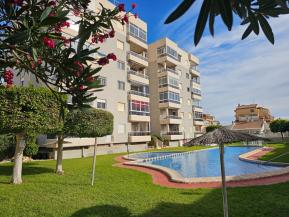 ALEG-A110781
