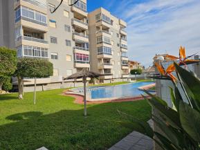 ALEG-A110781