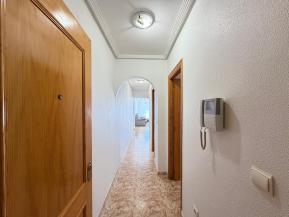ALEG-A11243