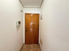 ALEG-A11243