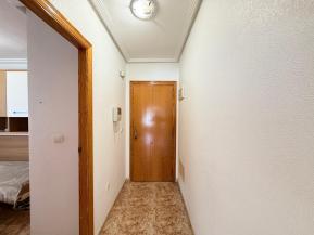 ALEG-A11243