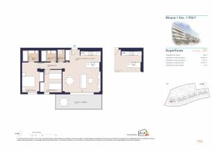 P35116