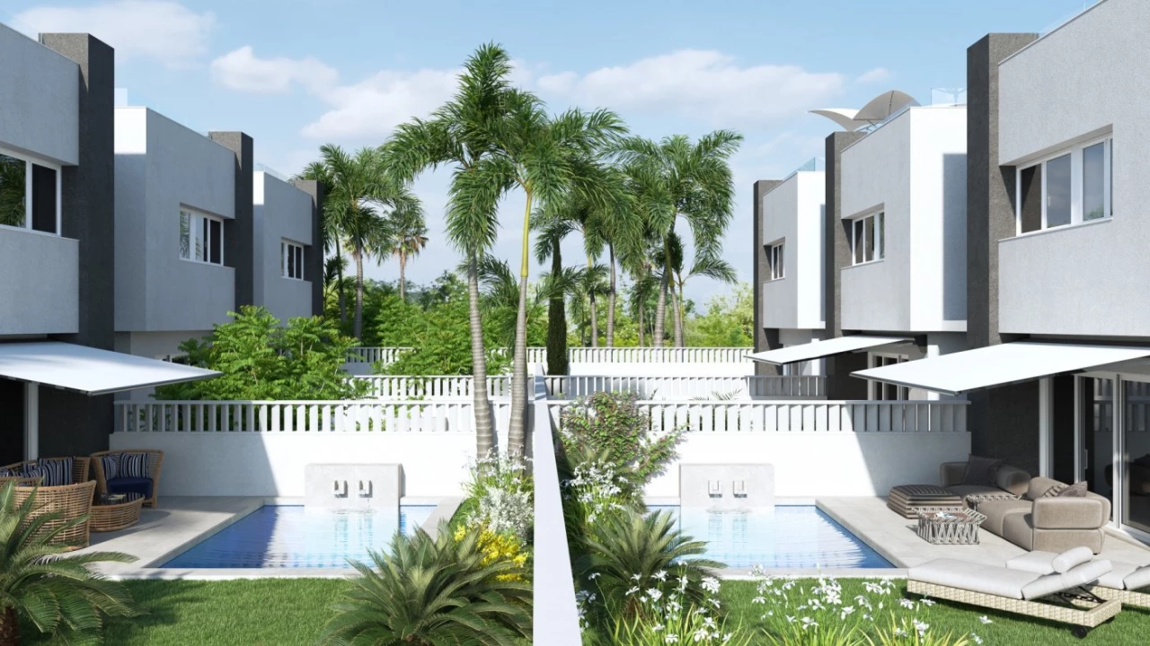 SEF-38613 | SEF-38613