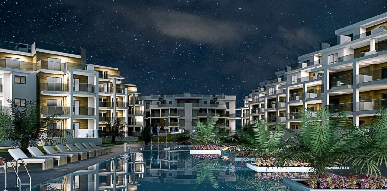 ANB-37462 | ANB-37462