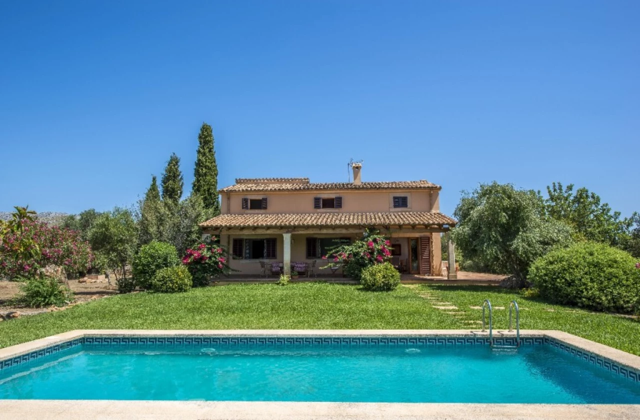 C-Pollensa4233 | C-Pollensa4233