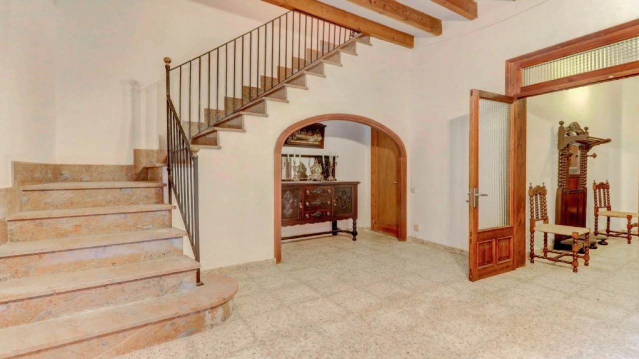 C-Pollensa5690 | C-Pollensa5690