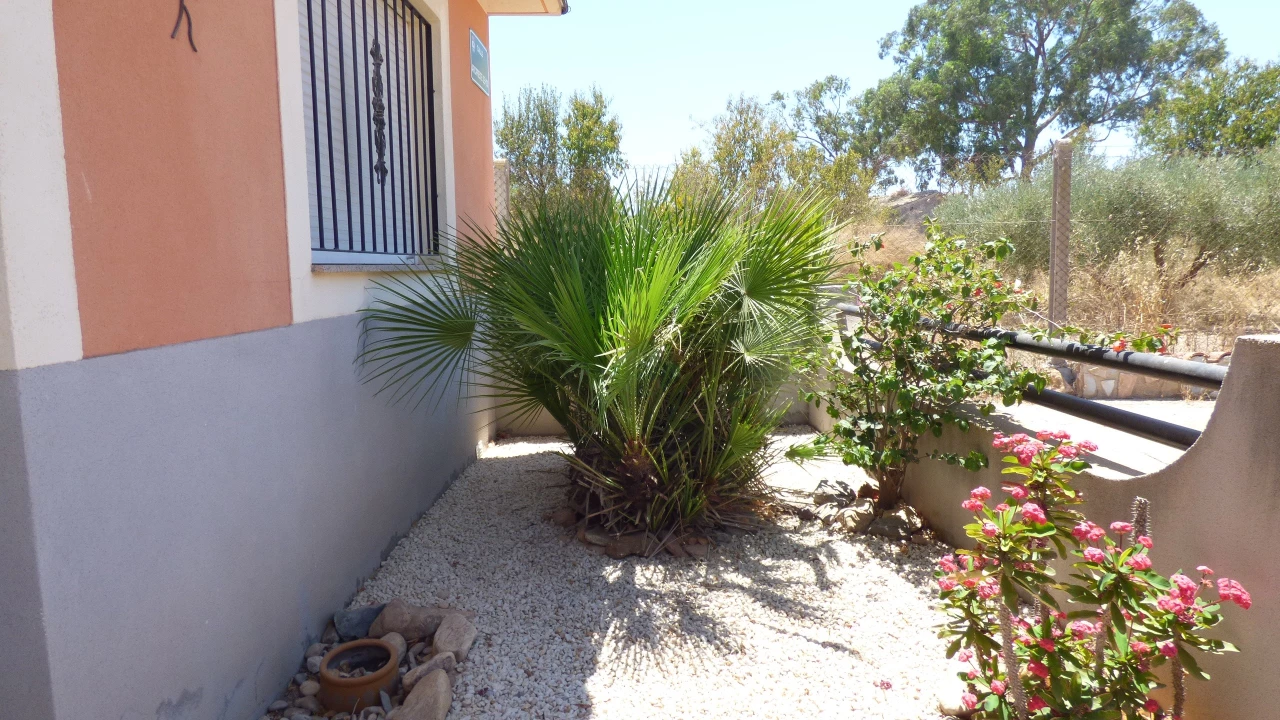 3 Bedroom Semi - Detached House For Sale | PAL02