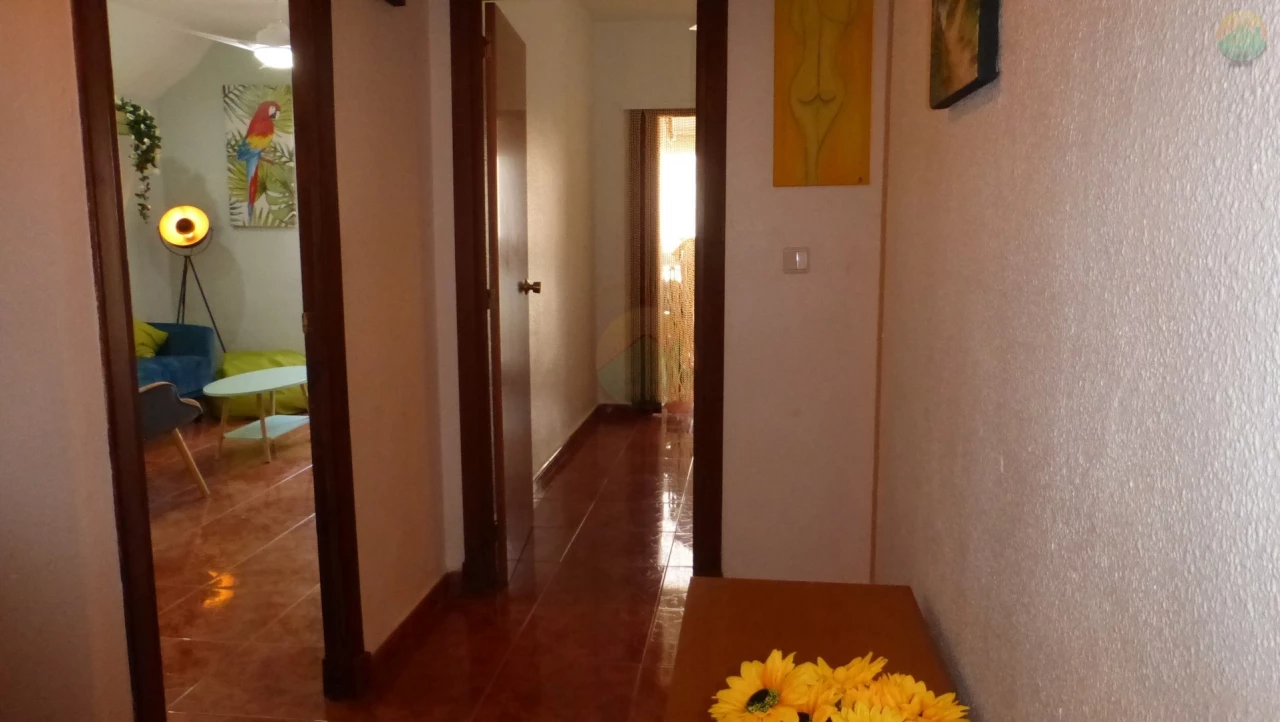 Apartment for sale | PDM142