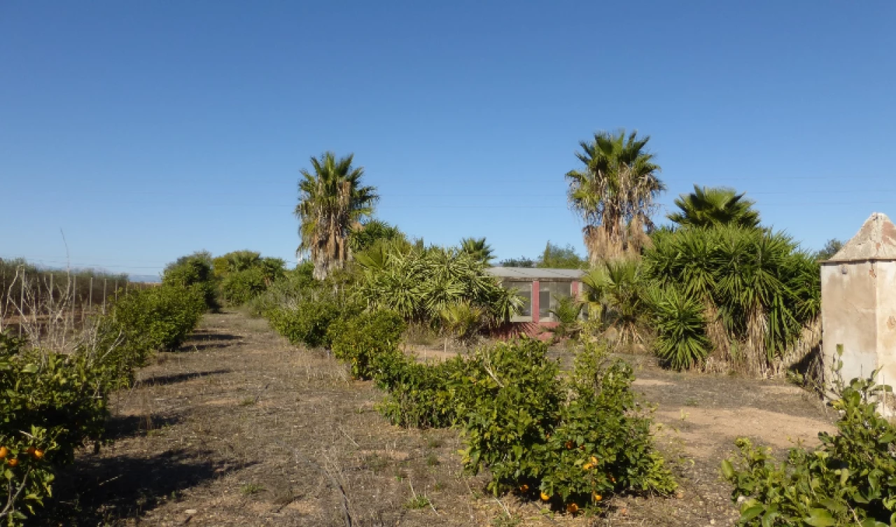 14 Bedroom Finca For Sale | PIN008