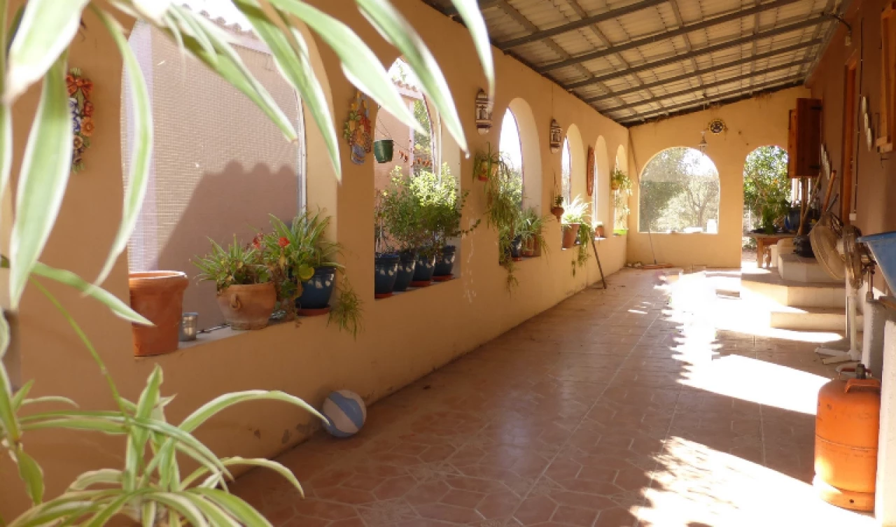 14 Bedroom Finca For Sale | PIN008