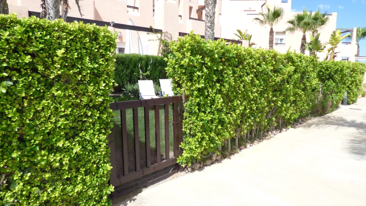 2 Bedroom Apartment For sale | PW47