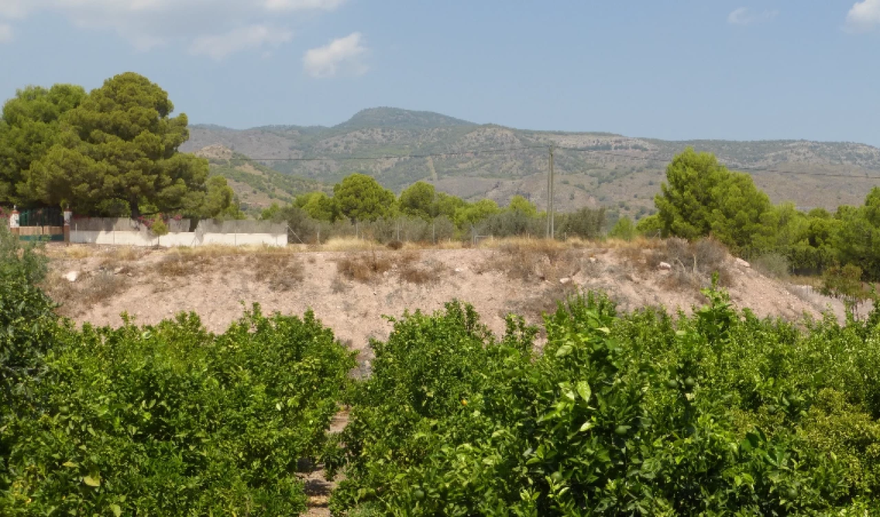 3 Bedroom Finca For Sale | TOT01
