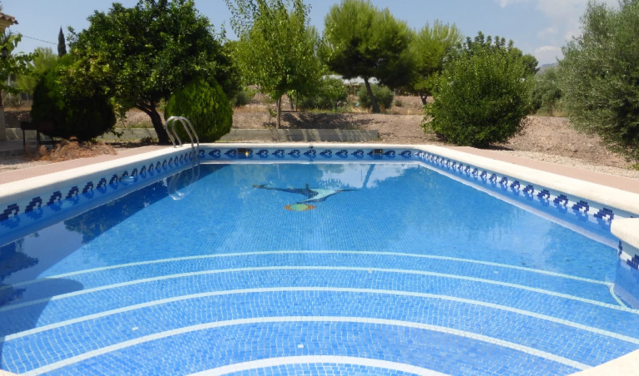 3 Bedroom Finca For Sale | TOT01