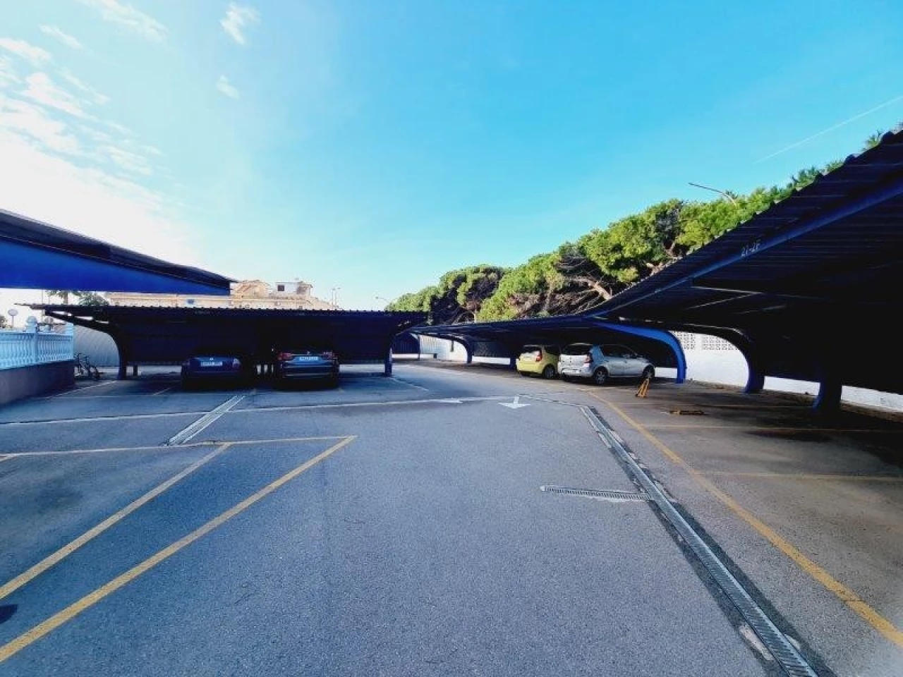 AG31145 | AG31145