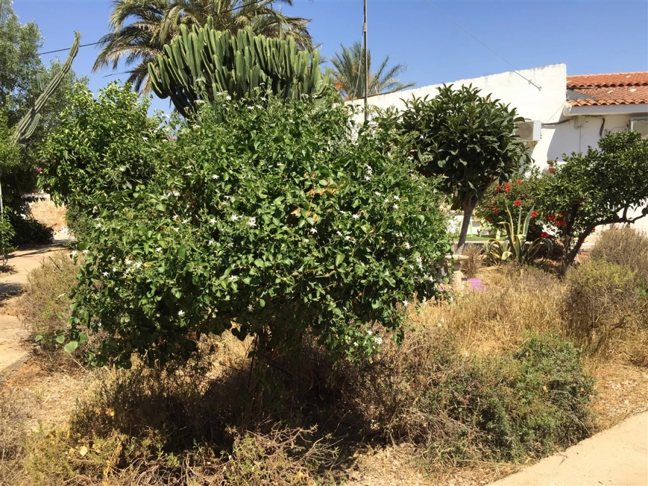 MAGDALENAPROPERTY_1 | MAGDALENAPROPERTY_1