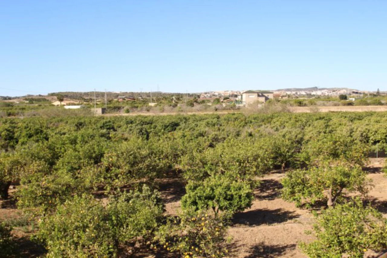 174.12938 | 174.12938