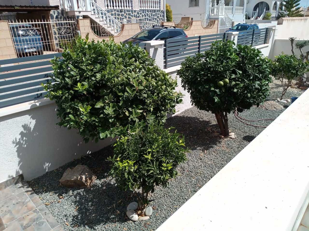 ES159260 | ES159260