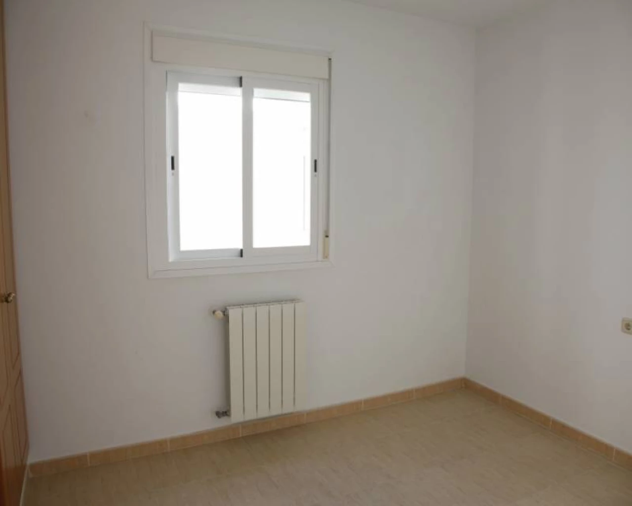 BG-99788 | BG-99788