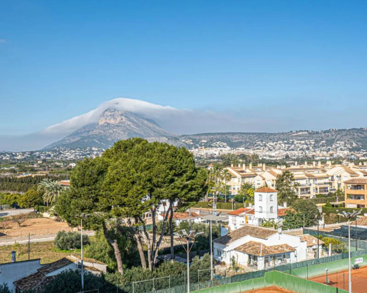 BG4-19423 | BG4-19423