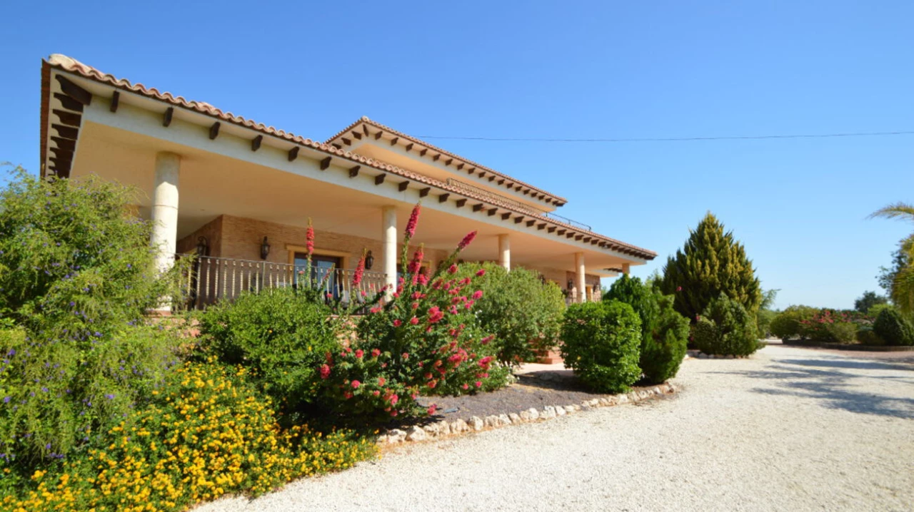 TFSHO2129 | TFSHO2129