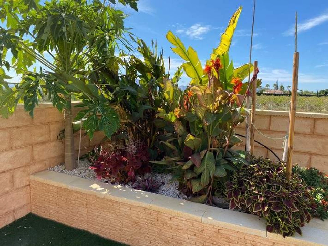 22133RS101 | 22133RS101