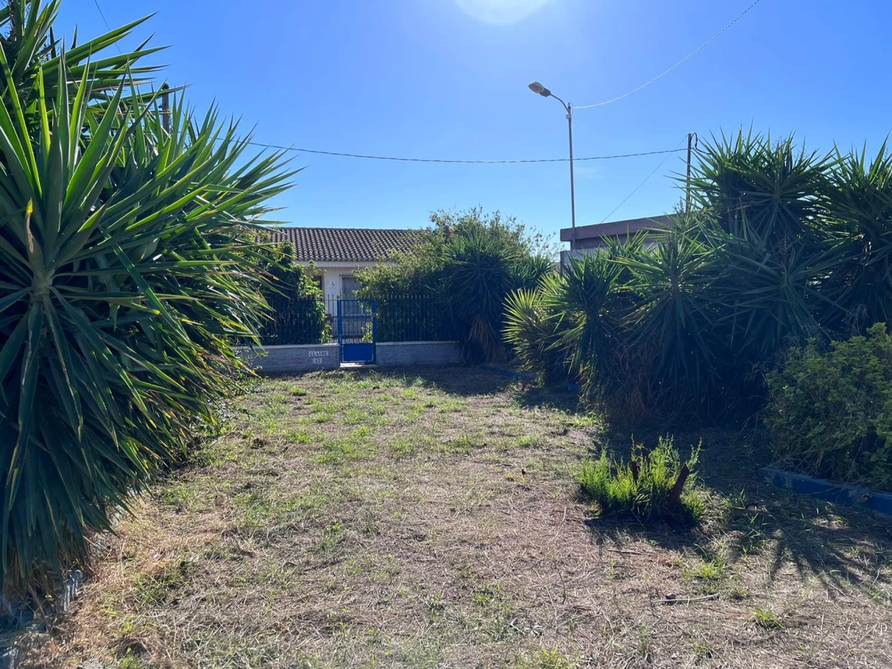 CSPA-32550 | CSPA-32550