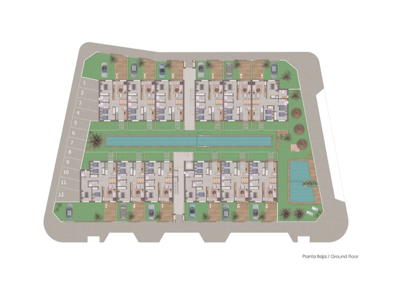 CSPN-55243 | CSPN-55243